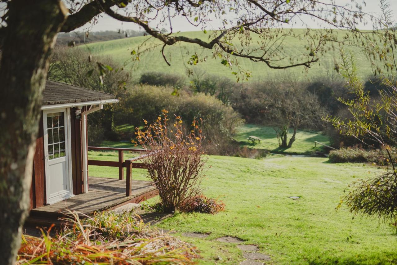 Timber Hill Self Catering Cedar Lodges Брод-Хейвен Экстерьер фото